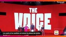 The Voice 2024 : Une séquence avec Vianney coupée au montage, Amel Bent concernée