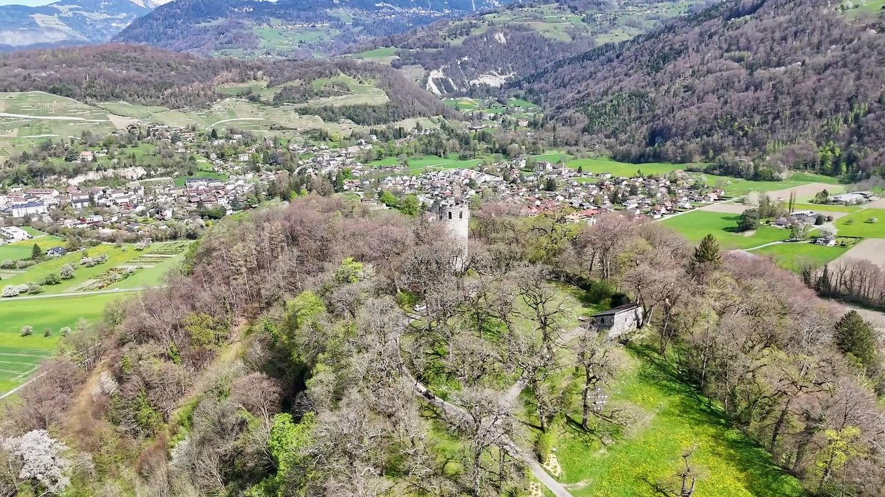 2024.04.06 Un vol près de la ruine du château de Duin