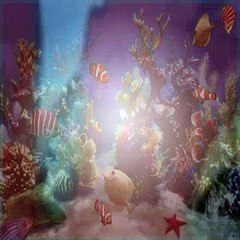 Dora The Explorer S05E04 Isa's Unicorn Flowers