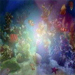 Dora The Explorer S05E07 Dora Saves Three Kings Day
