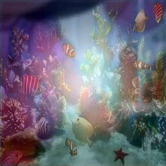 Dora The Explorer S05E15 Super Babies' Dream Adventure