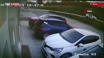 Bursa'da başıboş köpek dehşeti kamerada