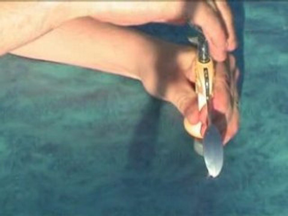 Coca Mentos : le jet