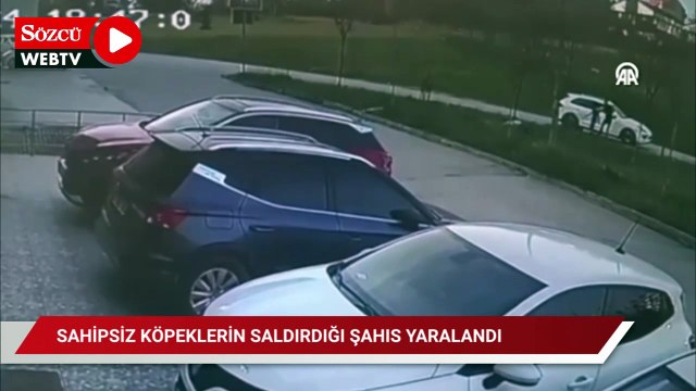 Sahipsiz köpeklerin saldırdığı kişi yaralandı