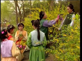 Hồng Lâu Mộng (1987) Tập 22 Thuyết Minh - Xử vụ oan - Bình Nhi khéo hành quyền