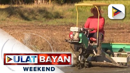 P4.5-B SARO para sa crop insurance, inilabas ng DMB; P900-M para sa Q1, nai-release na sa PCIC