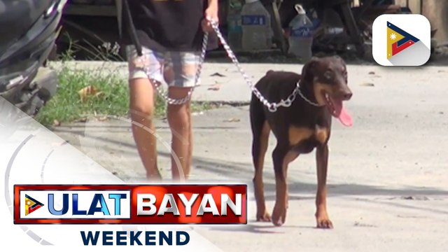 Panayam kay DOH Usec. Eric Tayag tungkol sa paglaganap ng rabies; DOH, nakapagtala ng rabies sa tao