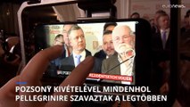 Peter Pellegrini többek között a magyaroknak is köszönheti győzelmét