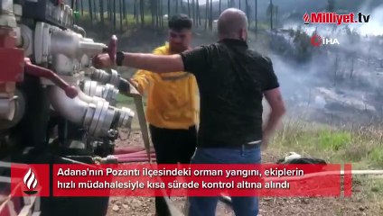 Adana'da orman yangını