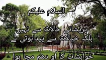 hazrat ali aqwal e zareen Ra quotes Best quotes in Urdu life changing aqwale e zareen