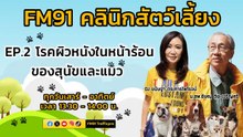 โรคผิวหนังในหน้าร้อนของสุนัขและแมว EP.2 : FM91 คลินิกสัตว์เลี้ยง : 6 เมษายน 2567