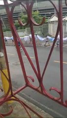 Torcida do Bahia é flagrada chegando em estádio com bandeirão; assista