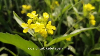 Doa untuk ketetapan iman  - Doa utk mendapatkan kemantapan iman