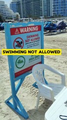 Swimming Not Allowed