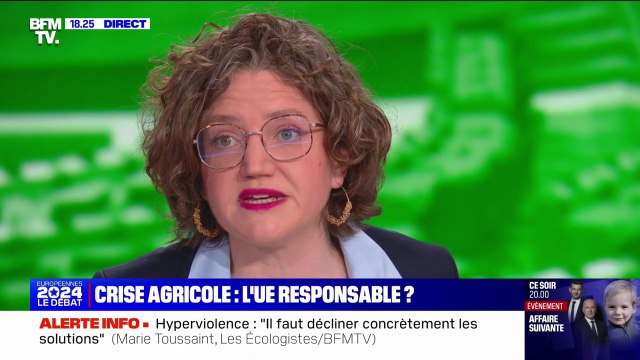 Agriculture: nous voulons que la loi favorise ces exploitations familiales qui font la richesse de l'agriculture française et de l'Europe , affirme Marie Toussaint (Reconquête)