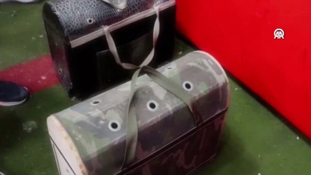 Horoz dövüştürüp kumar oynayan 41 kişiye 673 bin 500 lira ceza