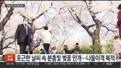 벚꽃 절정…당분간 맑고 한낮 20도 포근