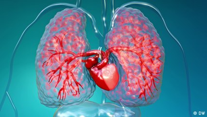 Así funciona la respiración