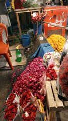 All the flowers #viral #trending #foryou #reels #beautiful #love #funny #delicious #fun #love #yummy