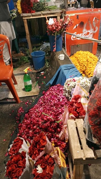 All the flowers #viral #trending #foryou #reels #beautiful #love #funny #delicious #fun #love #yummy