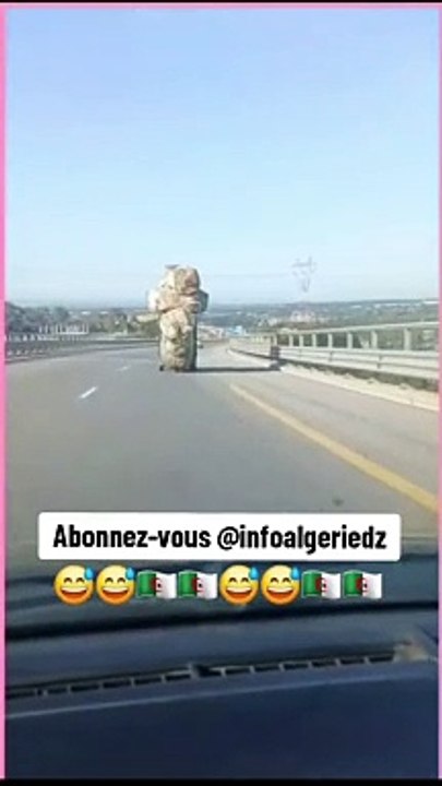 عند وصول المهاجرين إلى الجزائر ميناء الجزائر مرسيليا لا جولييت وهران سكيكدة عنابة بجاية قارب الجزائر العبارات كورسيكا لينيا نقل الأمتعة فان الجمارك الشرطة الدرك