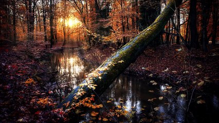 24.Oruç Nimetlerin Değerini Öğretir-Gufranla Tüllenen İbadet Oruç  M.Fethullah Gülen Sesli Kitap