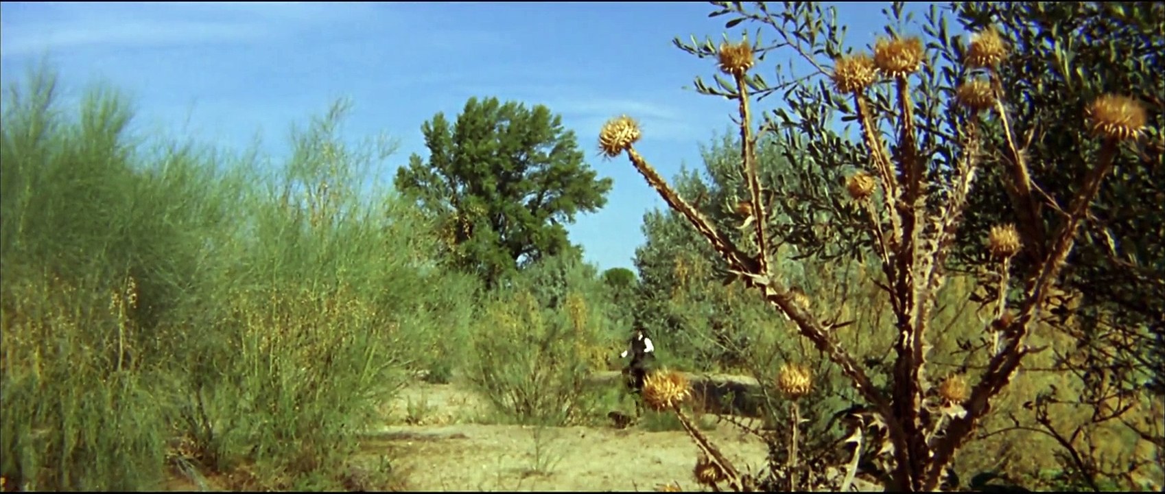 Killer, adiós (1968) stream deutsch anschauen