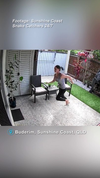 Shocking moment python latches onto Sunshine Coast cat