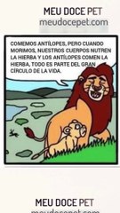 Rei leão versão proibida parte2