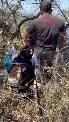 Localizaron restos humanos en el Cerro del Cuatro, esperan encontrar más cuerpos