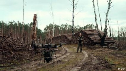 Reforestación con la ayuda de drones