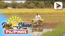 DBM, inilabas na ang P900-M Crop Insurance Budget para sa unang tatlong buwan ng 2024