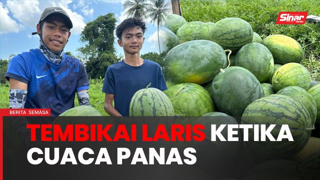 Rezeki cuaca panas: Tembikai di tanah tumpang laris