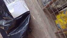 unboxing