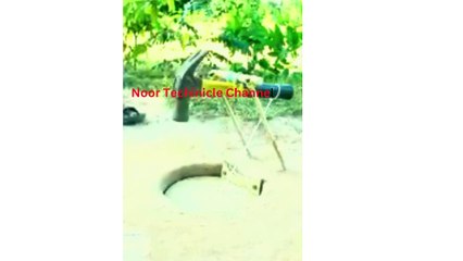 Exploring a Strange Way to Play the Birds