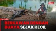 Berkawan dengan buaya sejak kecil