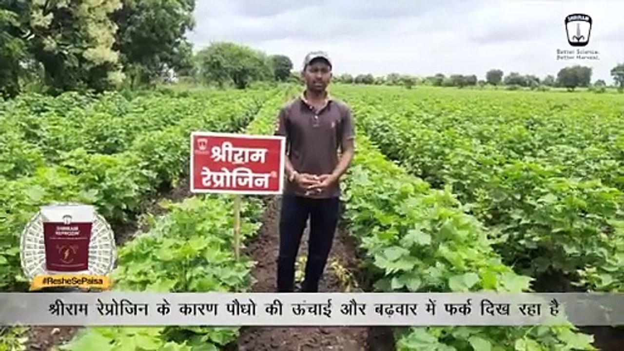 Experience the Benefits of Shriram Reprozin for Your Cotton Crop