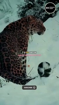 Quran urdu translation✨ #viralvideo #islam #islamicstatus #islamicvideo #shorts #short