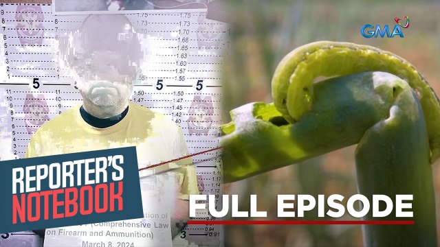 Mga opisyal na sangkot sa krimen at pag-atake ng harabas (Full episode) | Reporter’s Notebook