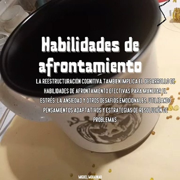 Miguel Mouawad- Práctica constante: