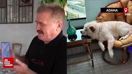 Adana'da sahibini kıskanan köpek saldırdı: Bacağını parçaladı