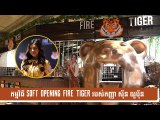 កញ្ញា ស៊ីន  យូប៊ីន  ស្ងាត់ៗក្លាយជាម្ចាស់ប្រេនតែគុជល្បីលំដាប់ Premium  FIRE  TIGER