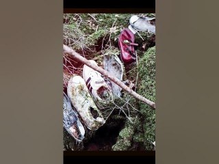 មកដឹងពីប្រវត្តិ​ ព្រៃដ៏រន្ធត់​បំផុតរបស់ជប៉ុន Aokigahara#Knongsrok  #KnongsrokTV