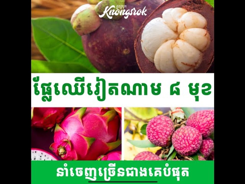 ផ្លែឈើសុទ្ធរបស់វៀតណាម ៨ ប្រភេទ ដែលនាំចេញច្រើនជាងគេបំផុត នៅលើពិភពលោក!#Knongsrok