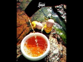 ទស្សនៈវិជ្ជាទាំង ៣៩ ចំណុច មួយជីវិតនេះត្រូវតែរៀនឱ្យចេះ ចាំឱ្យស្ទាត់ #Knongsrok #KnongsrokTV