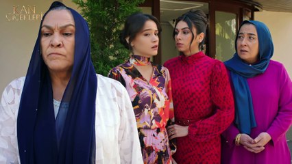 Kan Çiçekleri 289. Bölüm - Baran Raconu Kesti