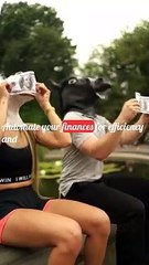 Automating Your Finances Efficiency for Wealth Accumulation