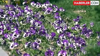 Ankara Demetevler Parkı'nda Yeni Sosyal Tesis Açıldı