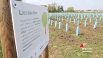 Nespresso italiana: in Friuli-Venezia Giulia un nuovo bosco urbano di 5.000 mq con il progetto “Le città che respirano”