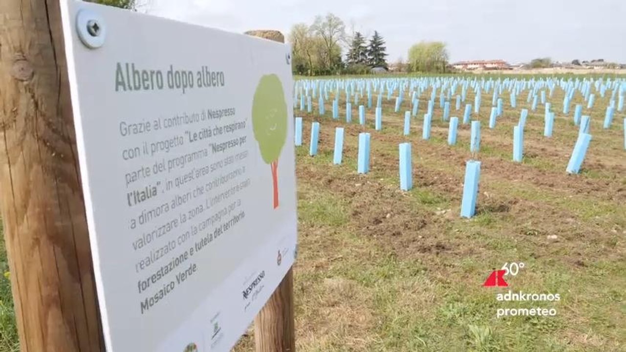 Nespresso italiana: in Friuli-Venezia Giulia un nuovo bosco urbano di 5.000 mq con il progetto “Le città che respirano”